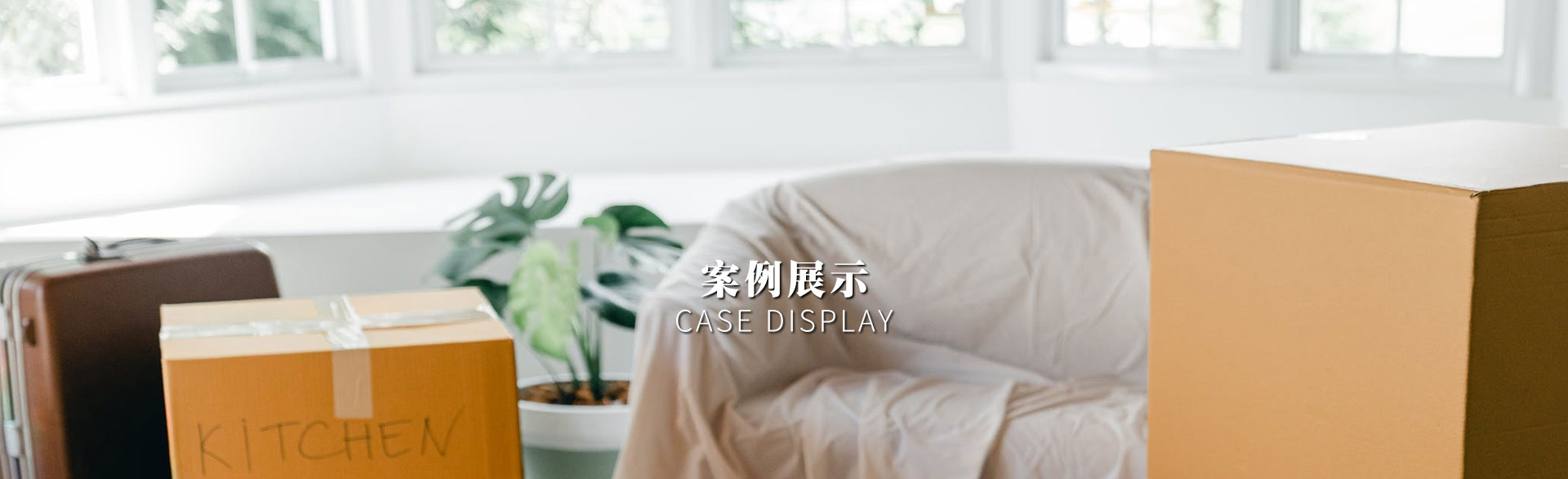 成功案例