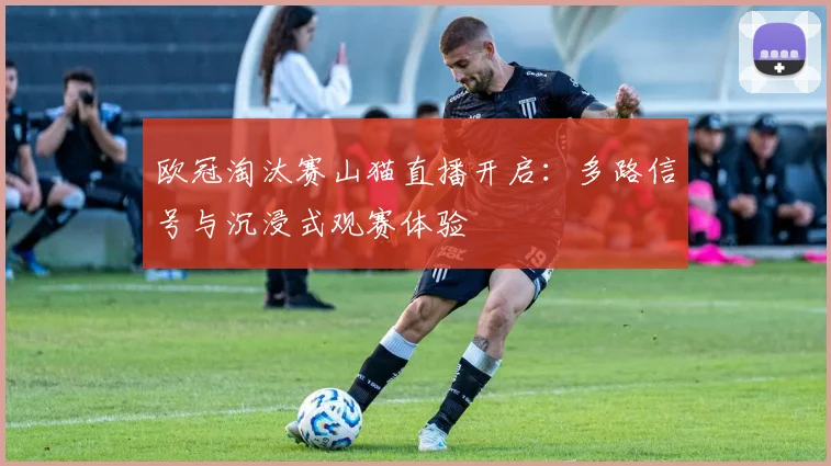 欧冠淘汰赛山猫直播开启：多路信号与沉浸式观赛体验